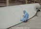 Windmill Blade Leading Edge 1 Protective Coating Guide Formulation